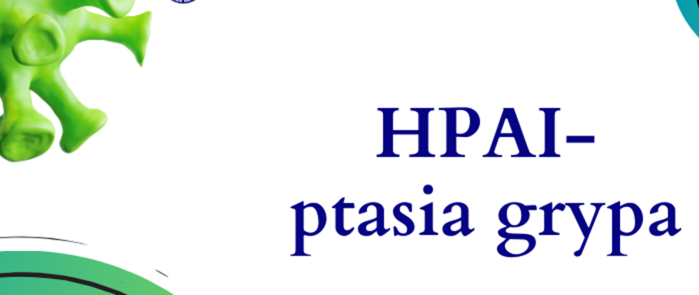 Obraz Komunikat Powiatowego Lekarza Weterynarii w Lęborku w sprawie wysoce zjadliwej grypy ptaków (HPAI) oraz rzekomego pomoru drobiu (ND)